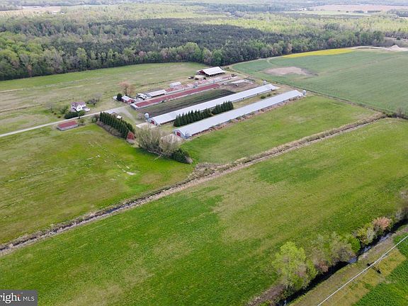 3rd image of 36555 Sheppards Crossing Rd