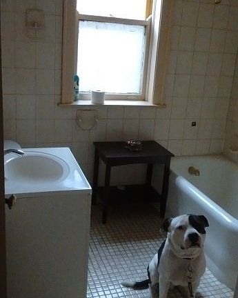 5th image of 7729 S Yates Blvd #1