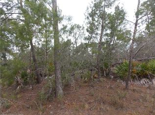 3250 Flatbush Ave, Lake Placid, FL 33852