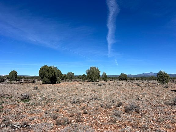 5th image of 309 Bullock Rd