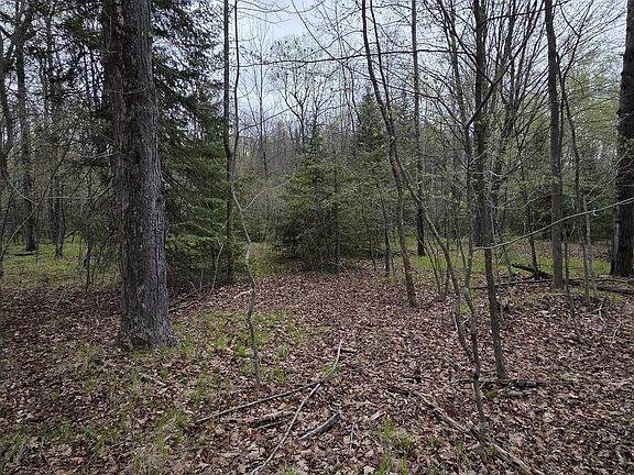 3rd image of Chapin Rd