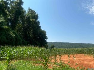 99AC Simmons Ln, New Market, AL 35761