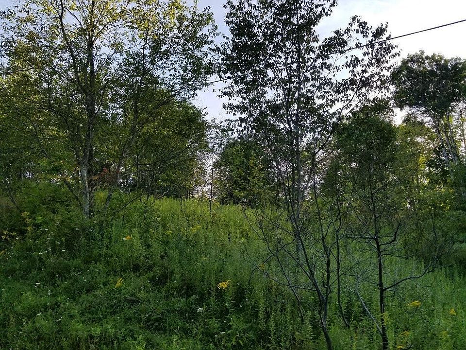 2nd image of 455 Dunham Rd