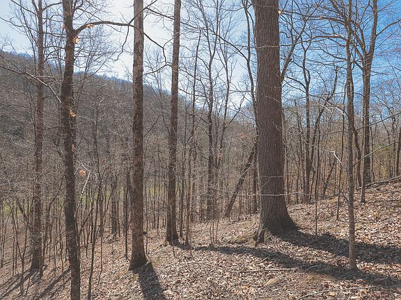 3rd image of 0 Fisher Hollow Rd