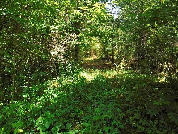 3rd image of 0 Tranquil Ln