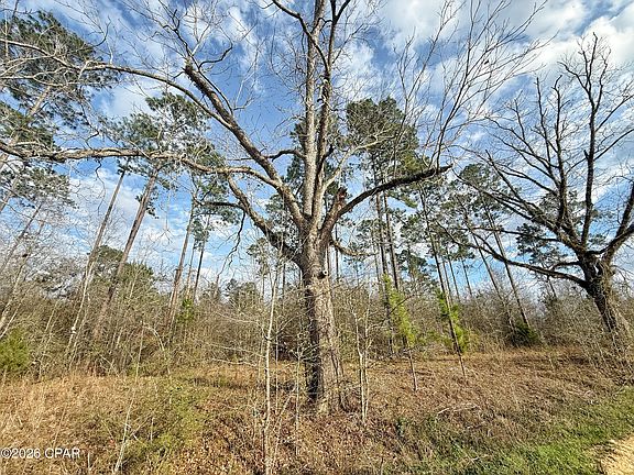 4th image of 0 Palmview Rd