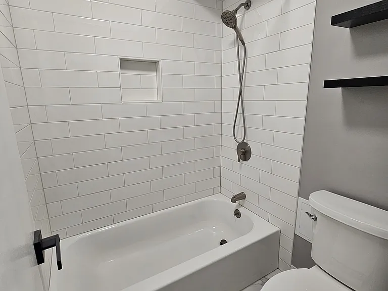 Hall bathroom shower and toilet