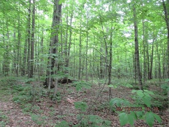 2nd image of LOT 2 Anderson Rd