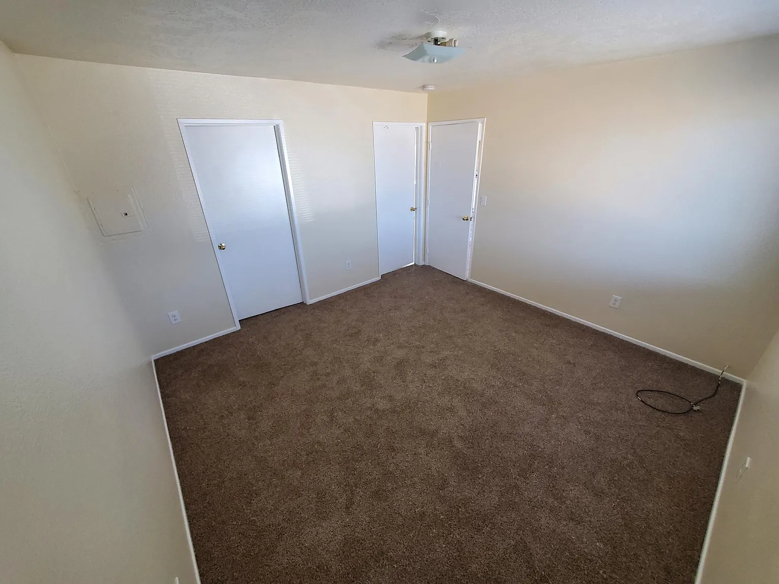 1 bed, 700 sqft, $1,250 — Photo 4