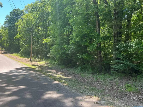 365 Lakeview Dr, Rogersville, AL 35652