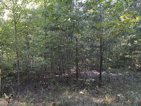 5th image of 622 Will Wyatt Ln