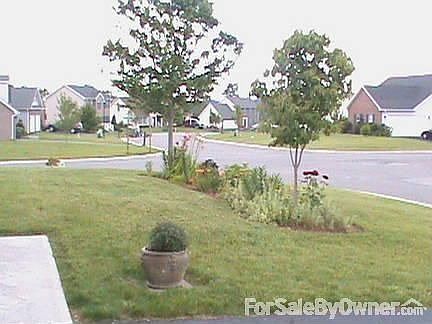 Front Yard
