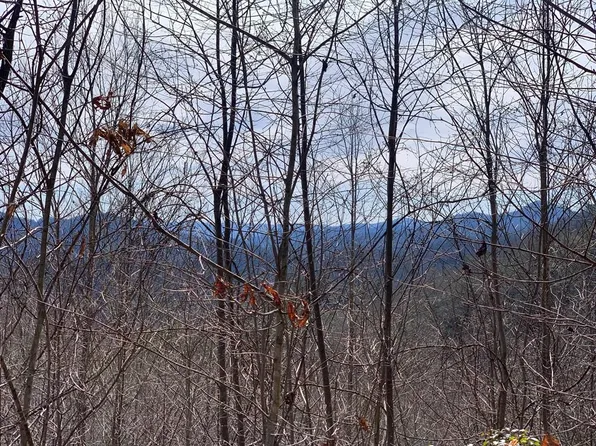 31 Turkey Run, Bryson City, NC 28713