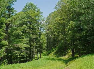 Wegman Rd, Roscoe, NY 12776