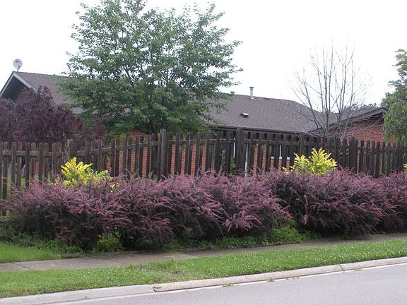 2nd image of 114 Virginia Ct #107