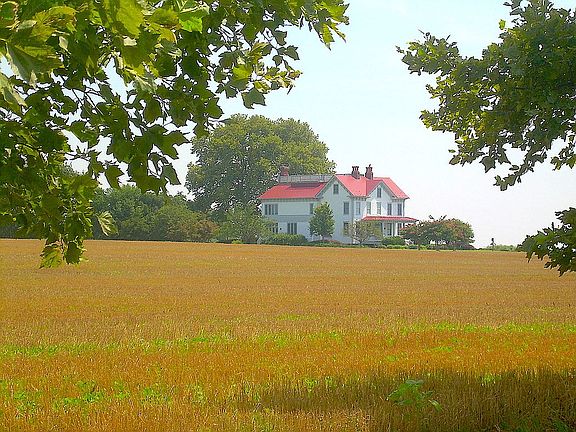 View from the drive in