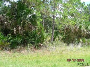 20 Rancher Pl, Palm Coast, FL 32164