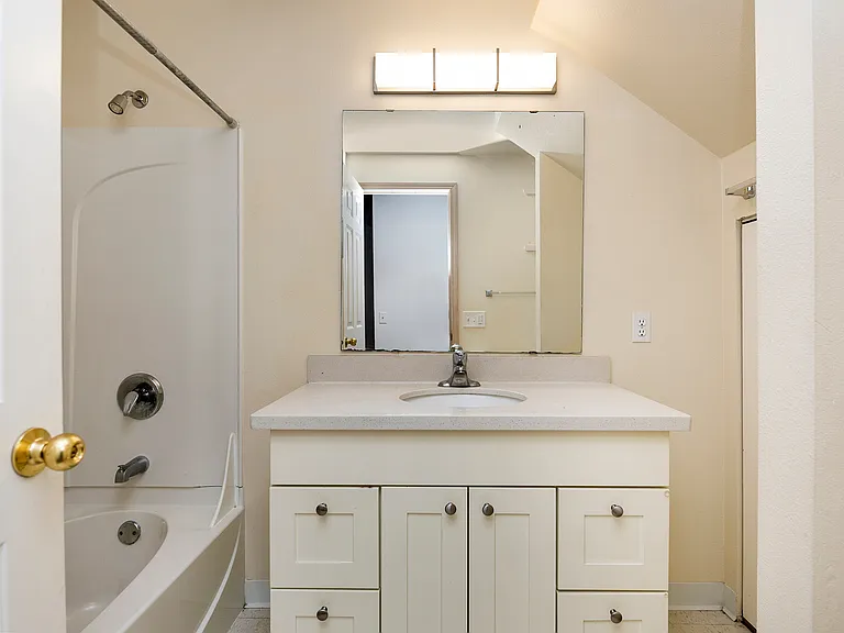Lower Level Bath with Tub