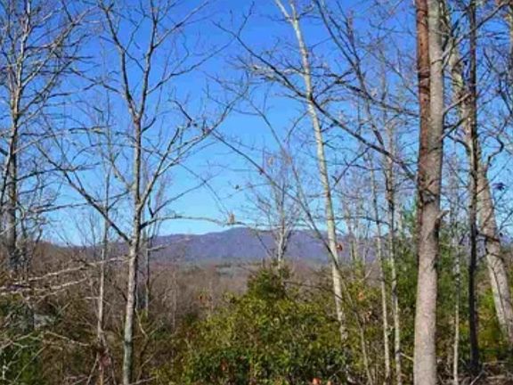 4th image of 1130 Packs Mountain Ridge Rd