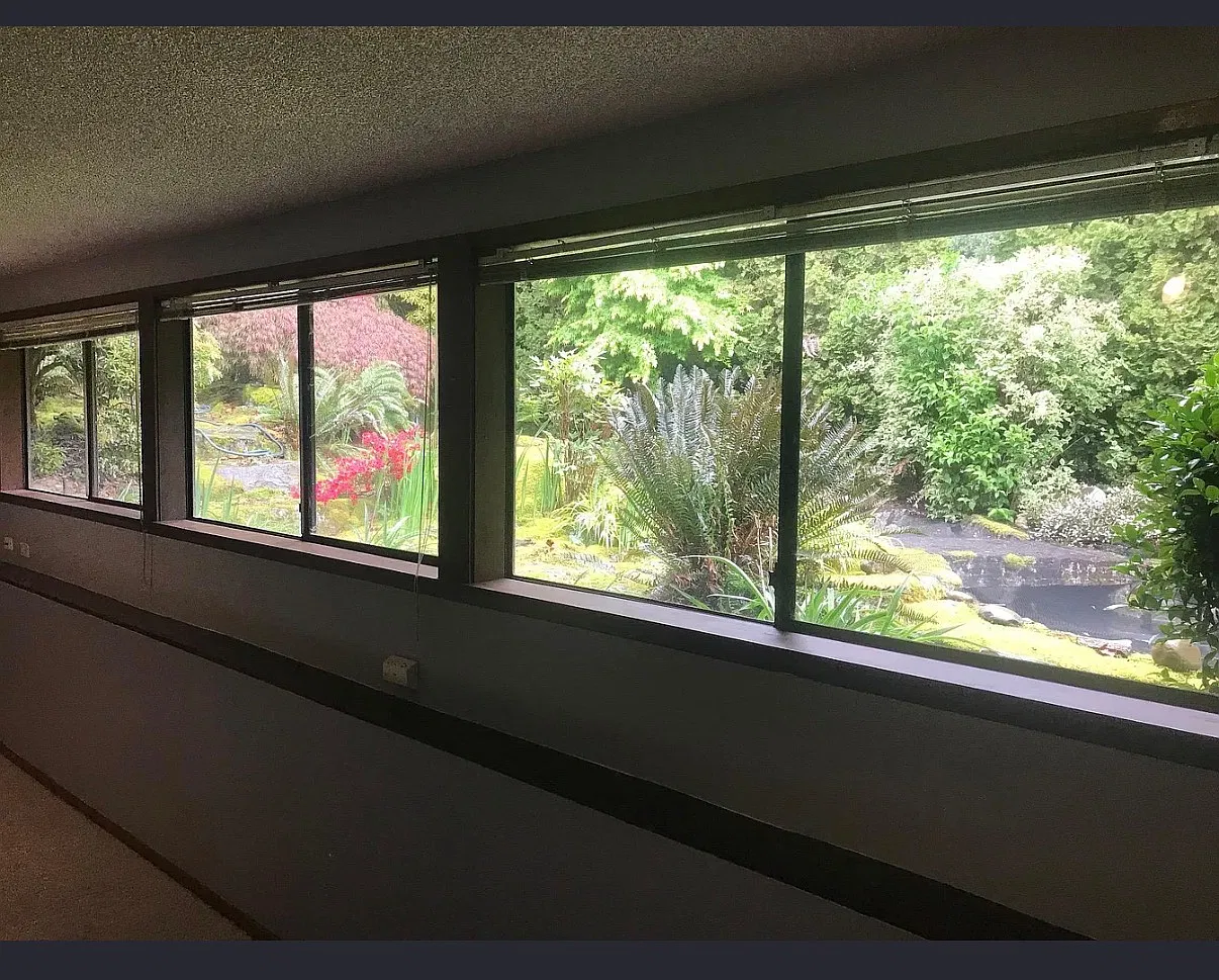 3 bed, 1.5 bath, 850 sqft, $3,500 — Photo 3