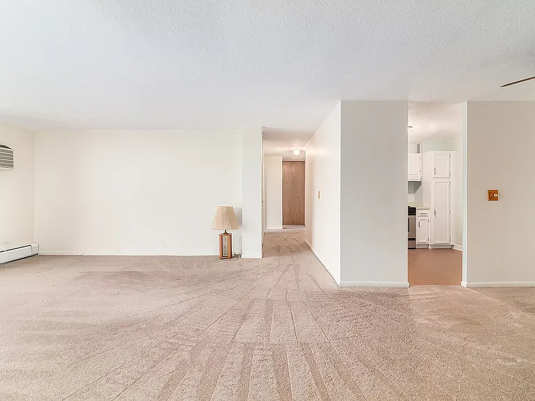 2201 S Stewart Ave #4H — Photo 18