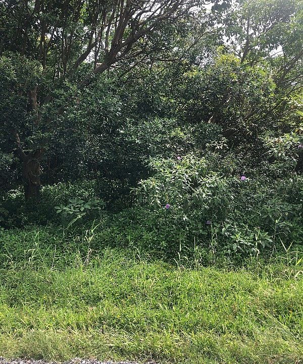 2nd image of 10th Avenue Kiele Lot 832