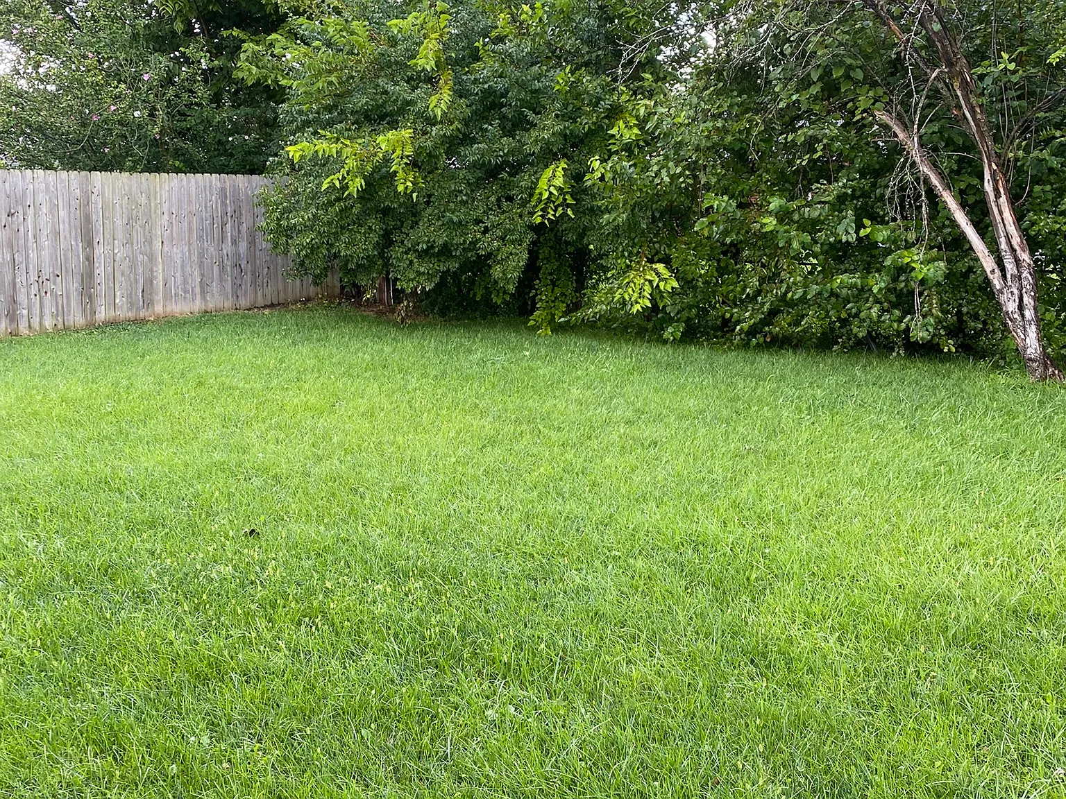 3 bed, 999 sqft, $1,200 — Photo 2