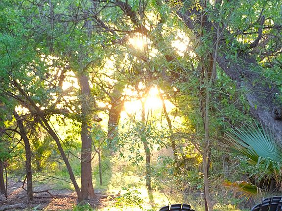 Sunrise thru creek woods