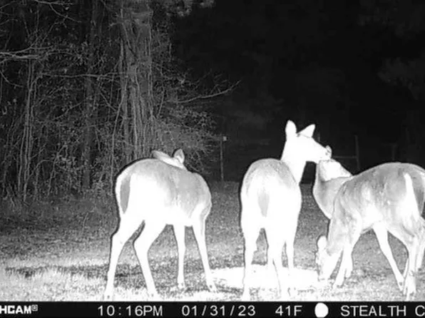 401 M&m Dr, Logansport, LA 71049