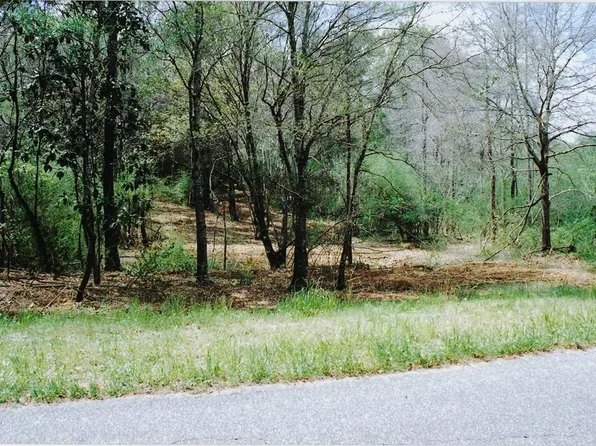0 County Road 11 Lot 14, Headland, AL 36345