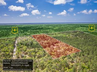 Xxx Tucker Springs Rd, Sopchoppy, FL 32358