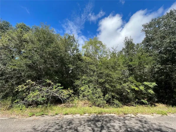 0 Guava Terrace Trce #12, Ocklawaha, FL 32179