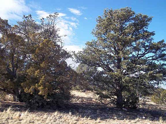 3rd image of 5779 S Estrella Rd