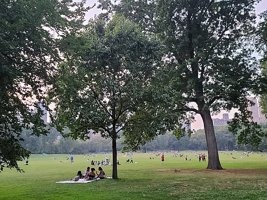 Rented by Bond New York | media 1