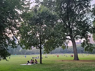 Rented by Bond New York