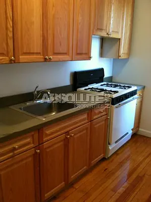 Rented by Absolute Properties of NYC | media 8