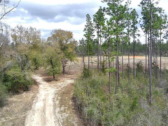 2nd image of LOT 1 Paul Rd Lot 1