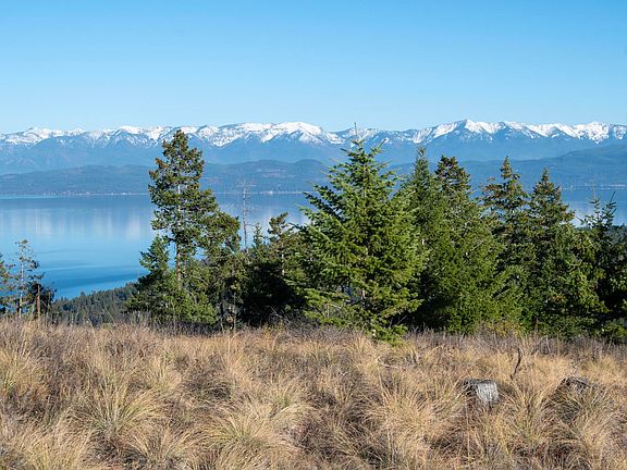 2nd image of 351 Ridge Line Dr