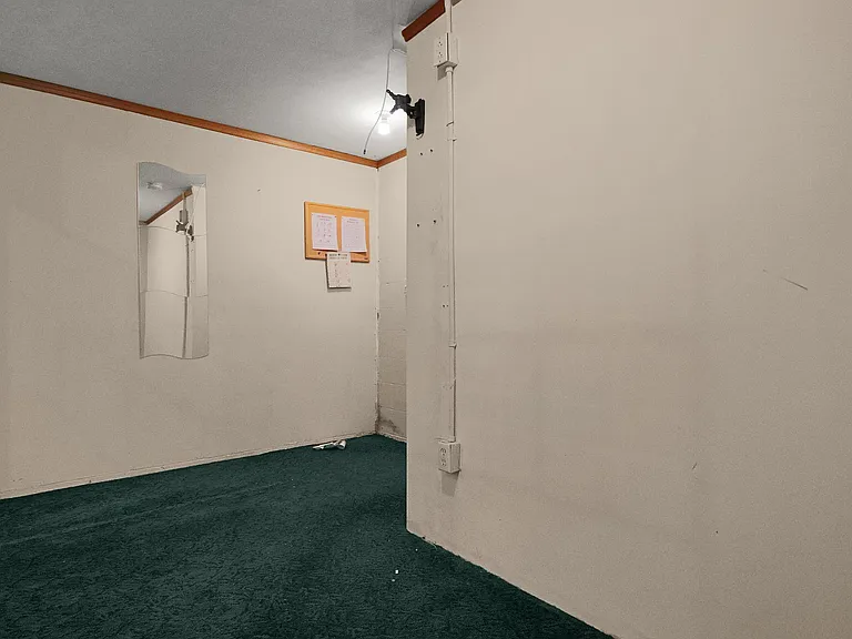 321 Amber Wood Way — Photo 26
