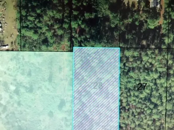 5334 Olive Ave, Bunnell, FL 32110