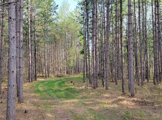 26789 Elk Haven Dr, Nevis, MN 56467