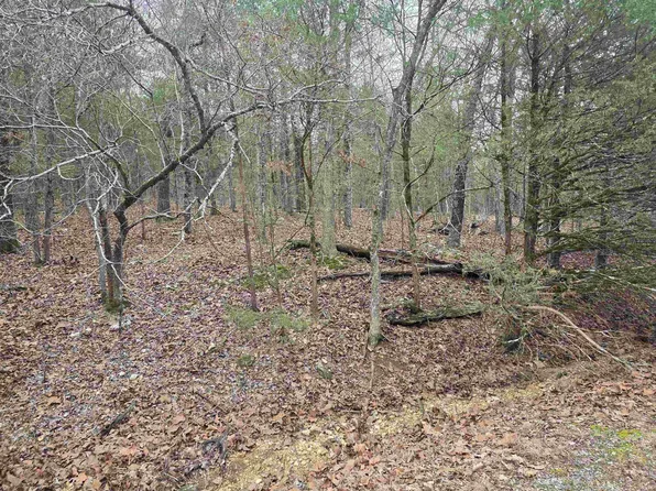 L8-B10 Pahokee Dr, Cherokee Village, AR 72529