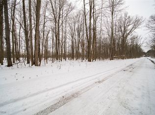 V/l 3 31 Willow St, Solon, OH 44139