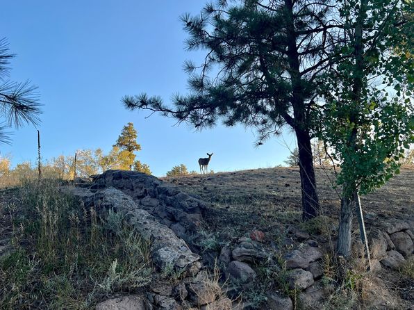 4226 Alabama Ave, Los Alamos, NM 87544