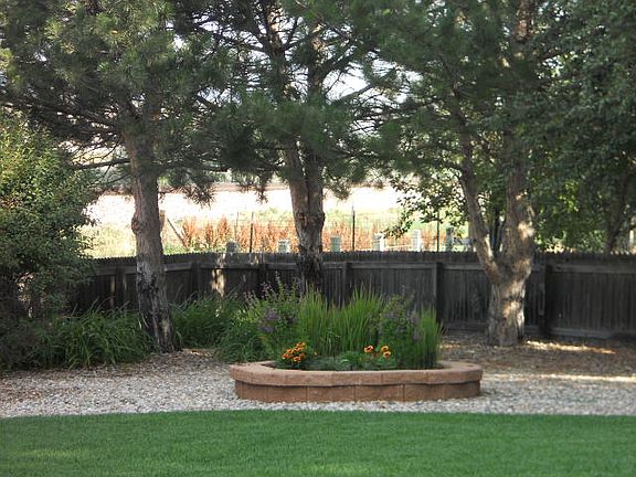 Back yard