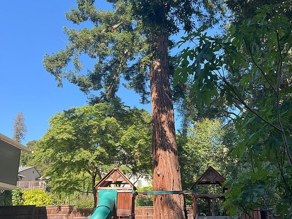 Backyard and play structure