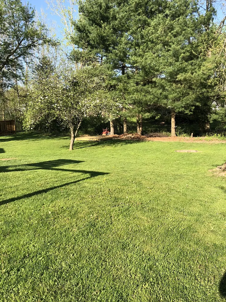 62 Berrimore Dr photo 1