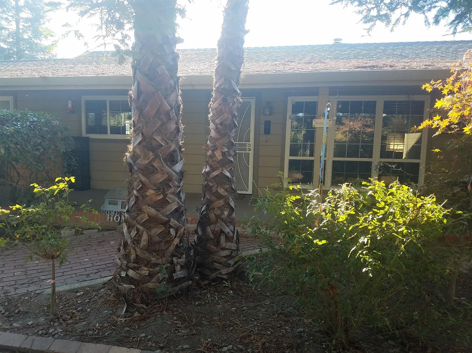 4900 State Highway 108 photo 1