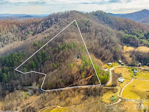 2504 Upper Paw Paw Rd, Marshall, NC 28753
