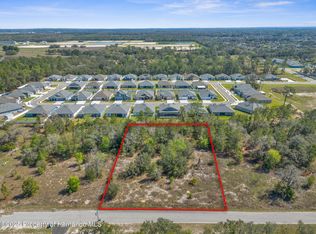 0 Carlton St, Spring Hill, FL 34609